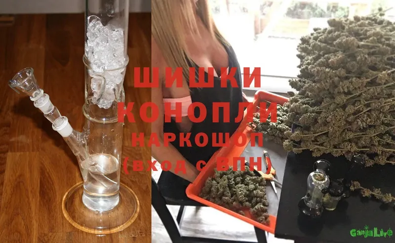 где можно купить наркотик  Вологда  Конопля SATIVA & INDICA 